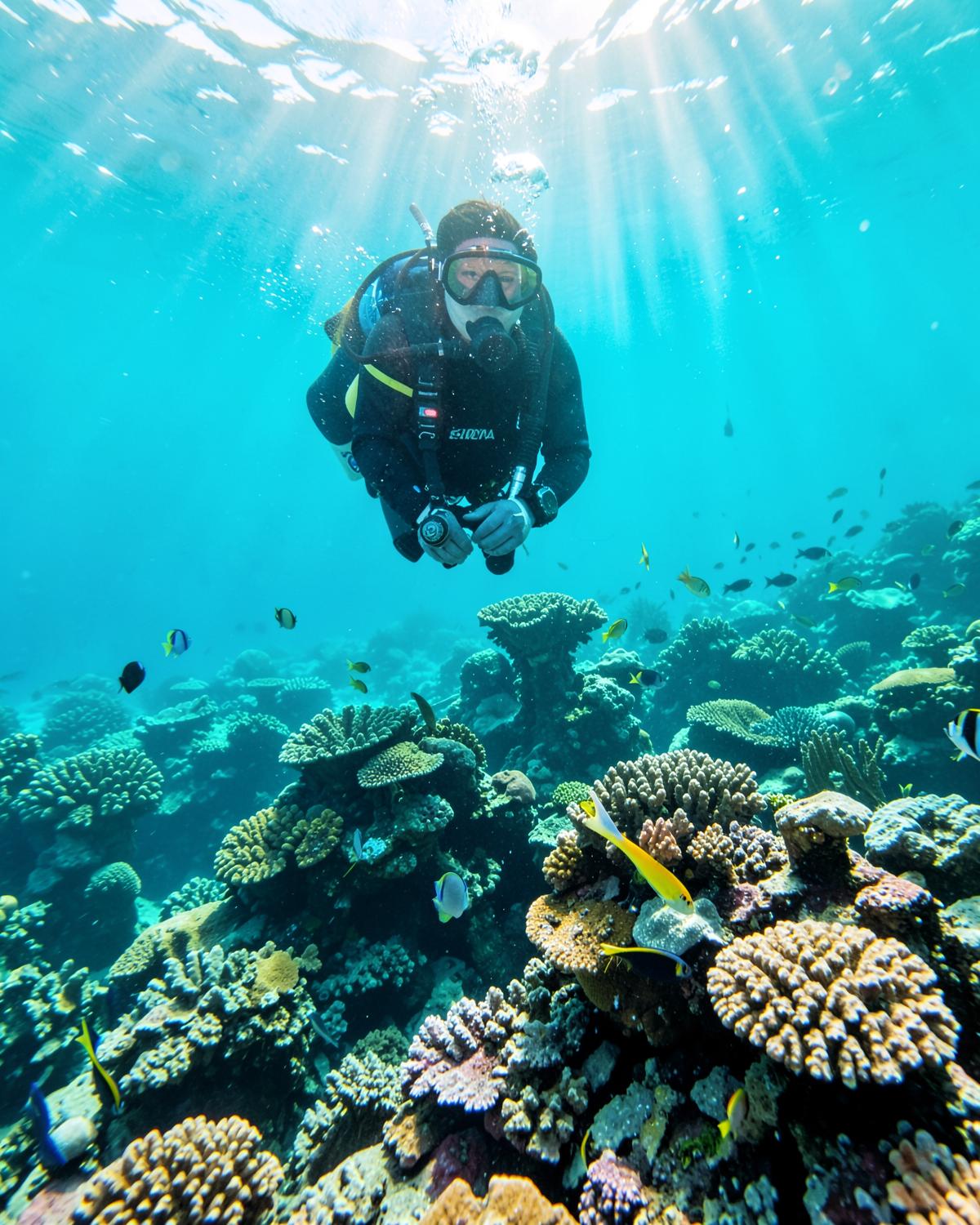 Reef & Recreation